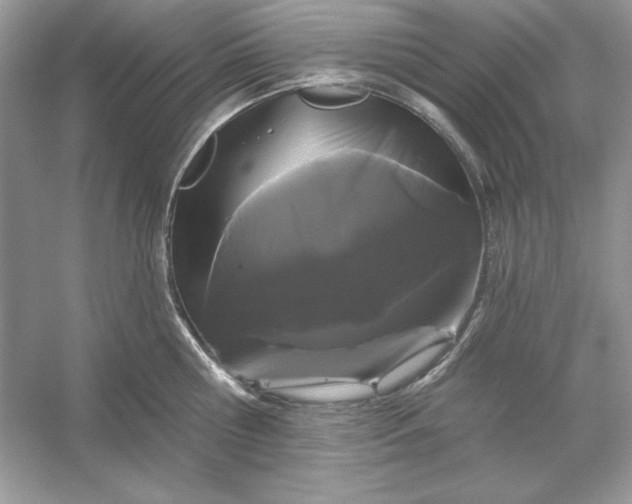 X0000053140810200507251814