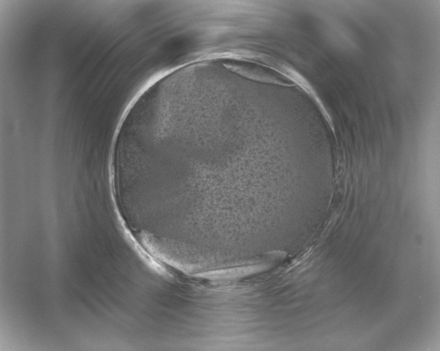 X0000053140811200507251814