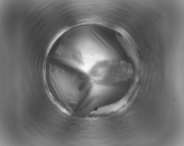 X0000053140812200507251814