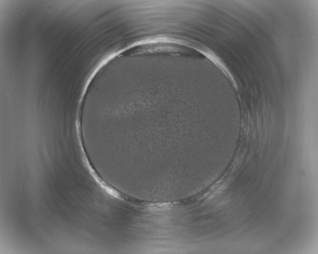 X0000053140813200507251814