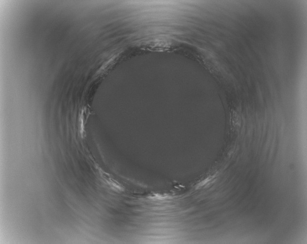 X0000053140818200507251813