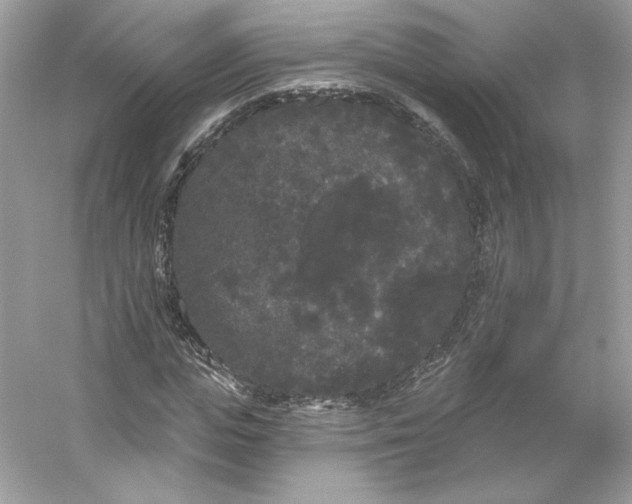 X0000053140823200507251813