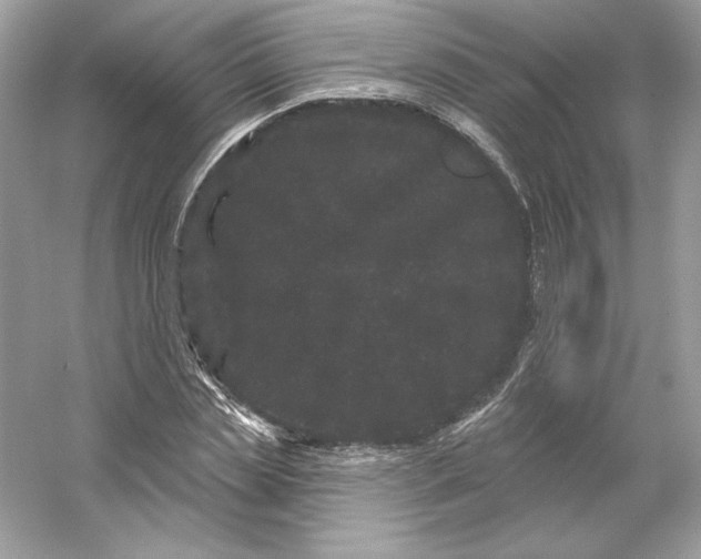 X0000053140829200507251813