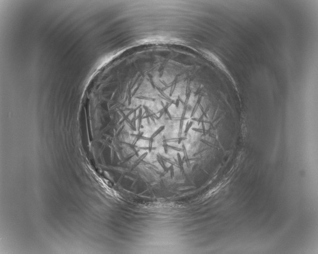 X0000053140831200507251813