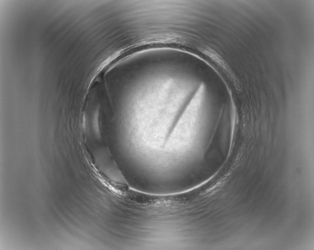 X0000053140834200507251813