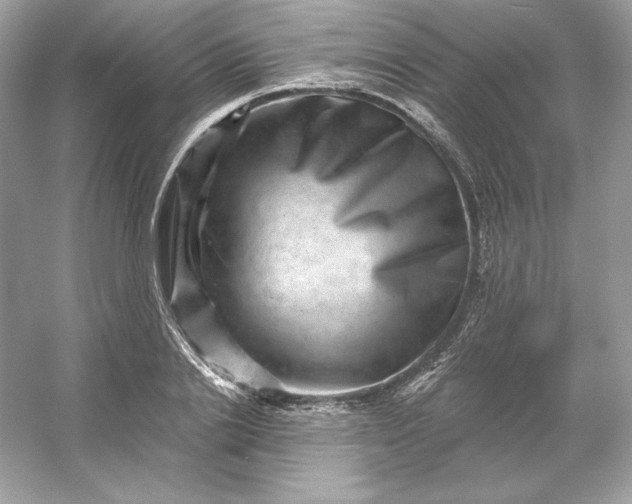 X0000053140838200507251813