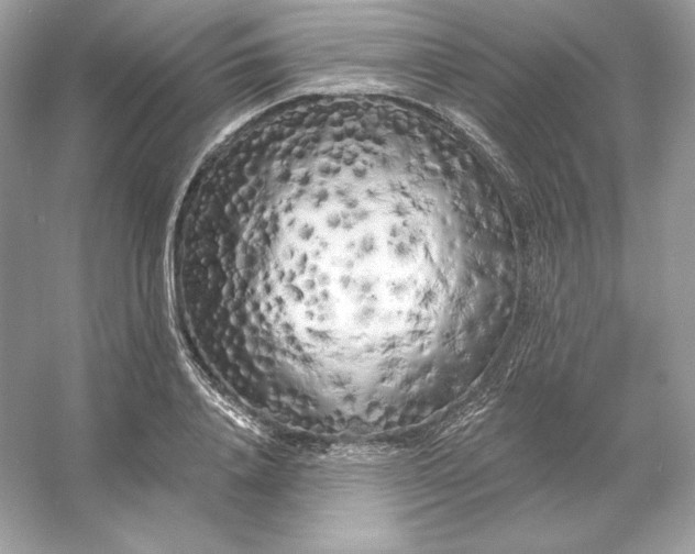X0000053140840200507251813