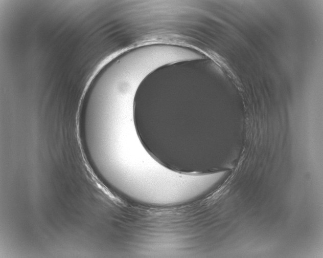 X0000053140846200507251813