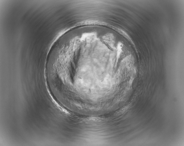 X0000053140847200507251813
