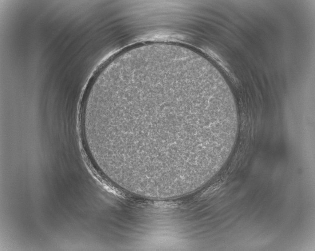 X0000053140848200507251813