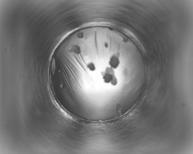 X0000053140852200507251813