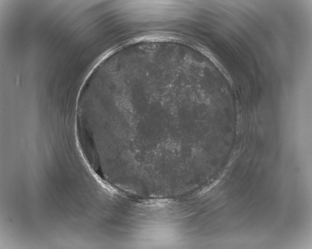 X0000053140853200507251813