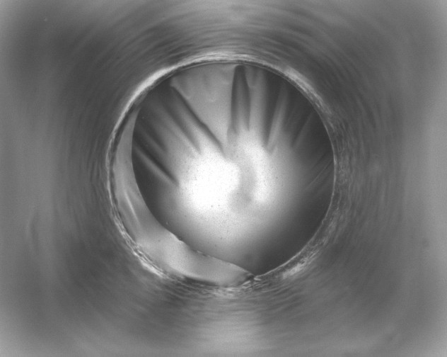 X0000053140854200507251813