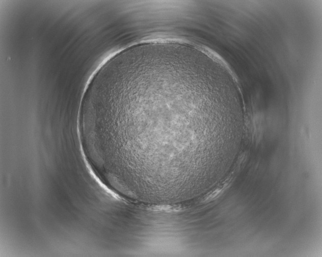 X0000053140855200507251813