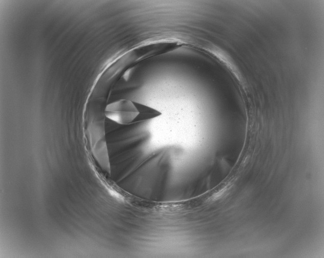 X0000053140858200507251813