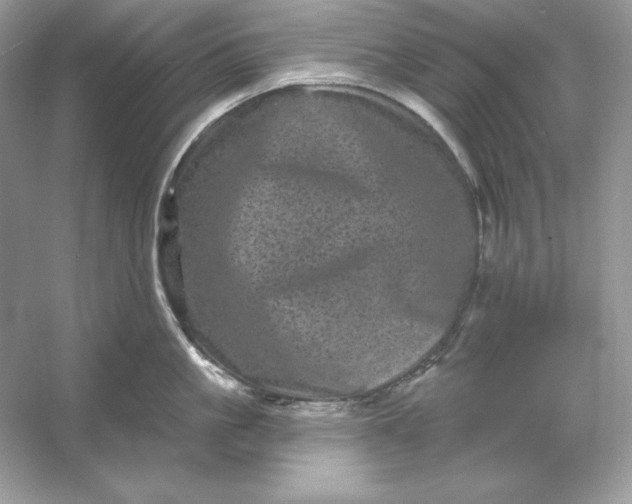 X0000053140861200507251814