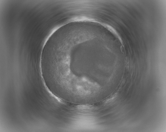 X0000053140863200507251814