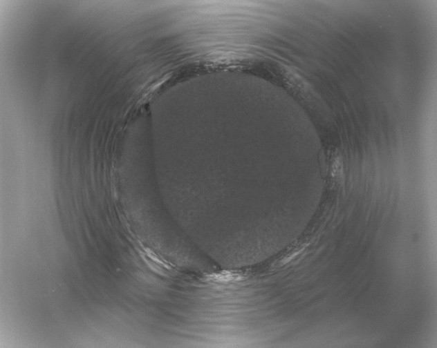 X0000053140868200507251813