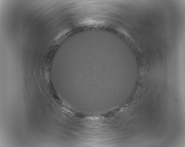 X0000053140869200507251813