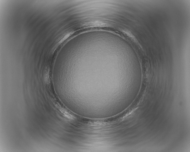 X0000053140873200507251813