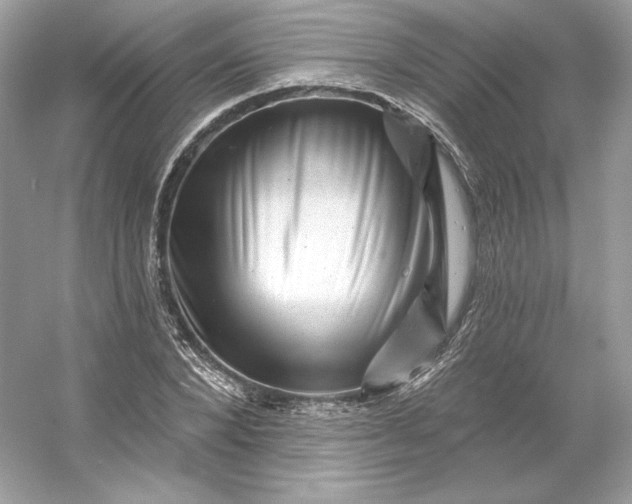 X0000053140880200507251812