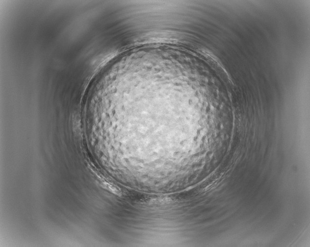X0000053140882200507251812