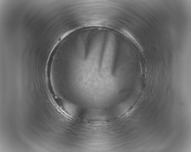 X0000053140884200507251812