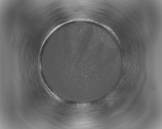 X0000053140887200507251812
