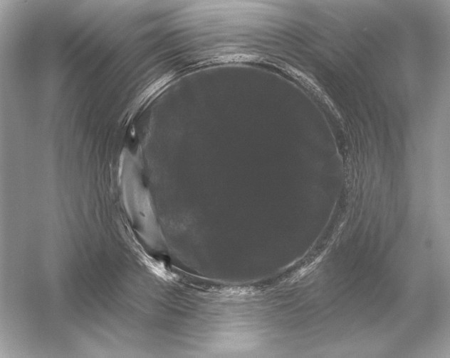 X0000053140889200507251812
