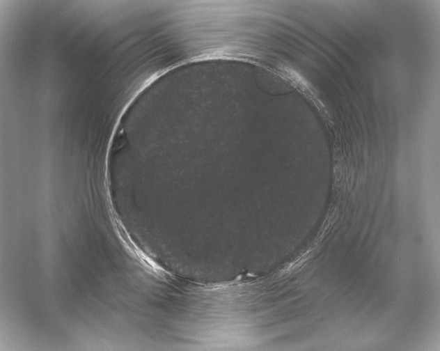 X0000053140892200507251812