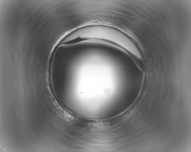 X0000053140896200507251812