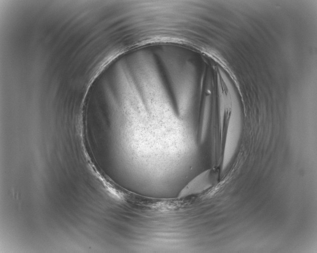 X0000053140898200507251812