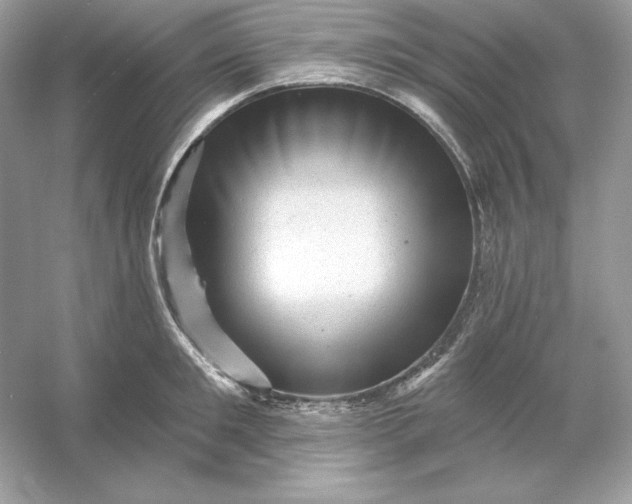 X0000053140901200507251812