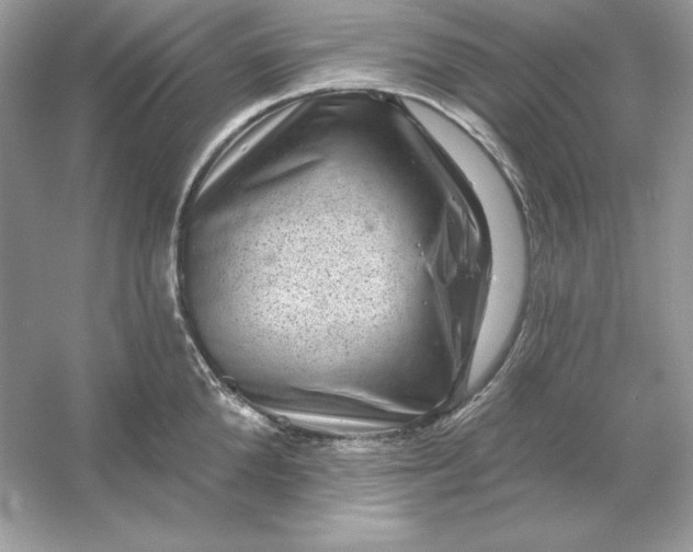 X0000053140904200507251812