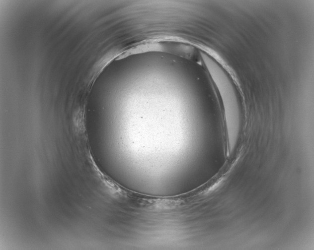 X0000053140905200507251812