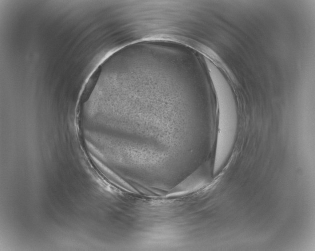X0000053140908200507251812