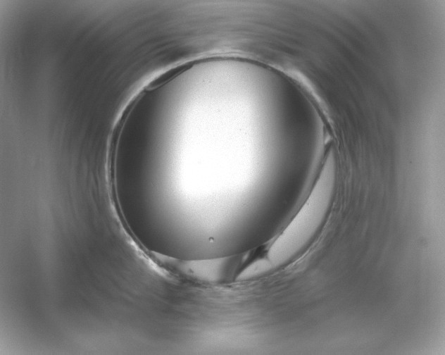 X0000053140910200507251812