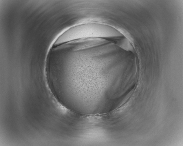 X0000053140912200507251812