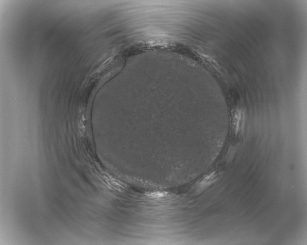 X0000053140916200507251811