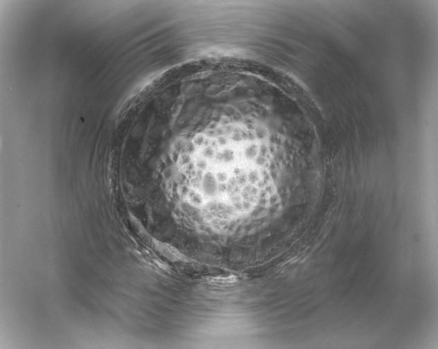 X0000053140919200507251811