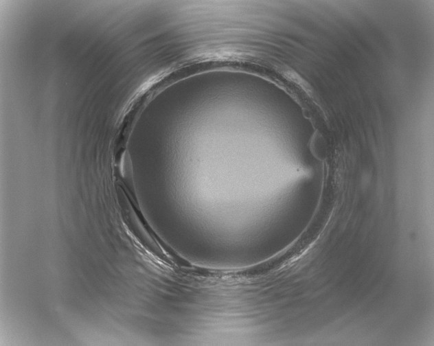X0000053140922200507251811