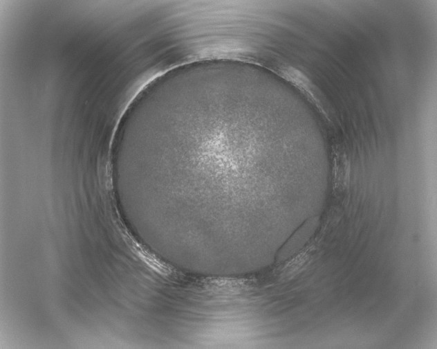 X0000053140924200507251811