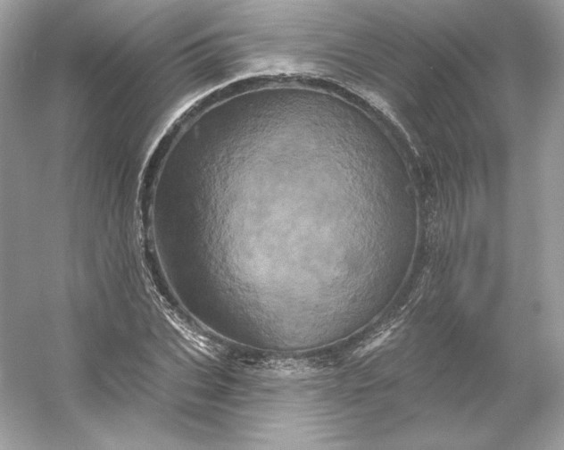 X0000053140927200507251811