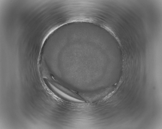 X0000053140928200507251811