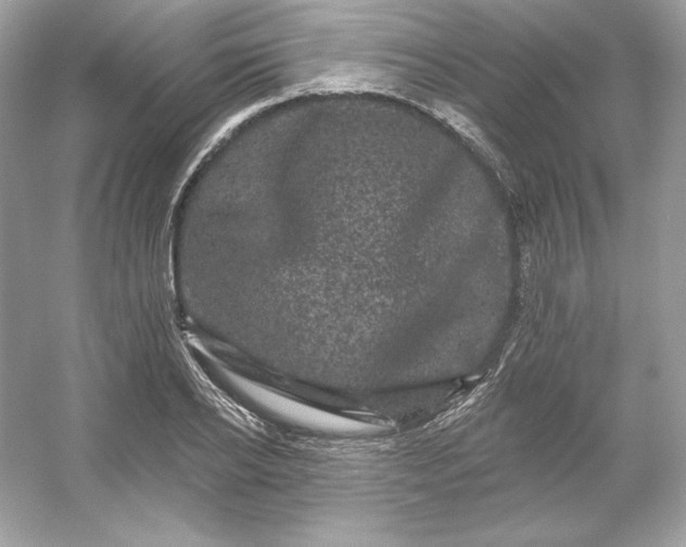 X0000053140934200507251811