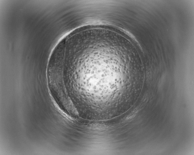 X0000053140935200507251811