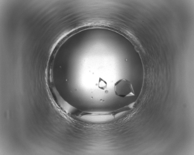 X0000053140936200507251812