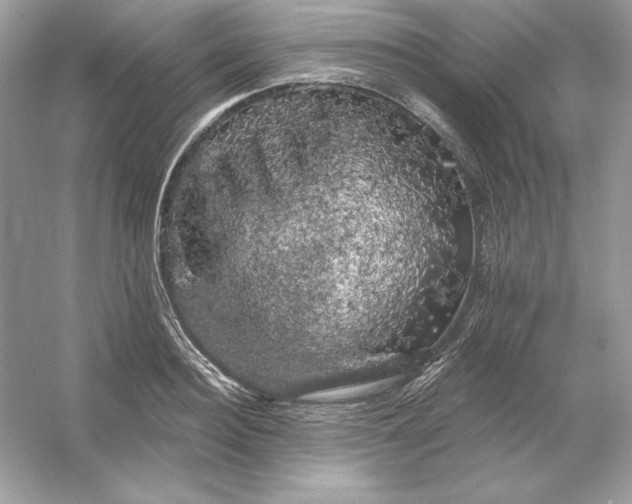 X0000053140940200507251812