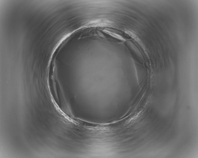 X0000053140941200507251812
