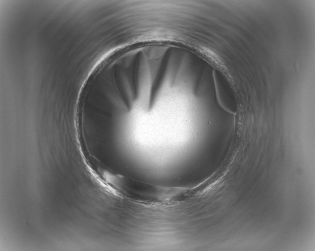 X0000053140942200507251812